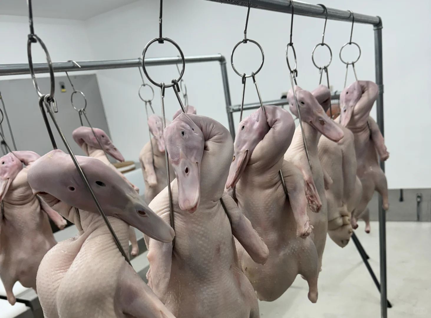 东京大型烤鸭工厂，代加工各类产品。