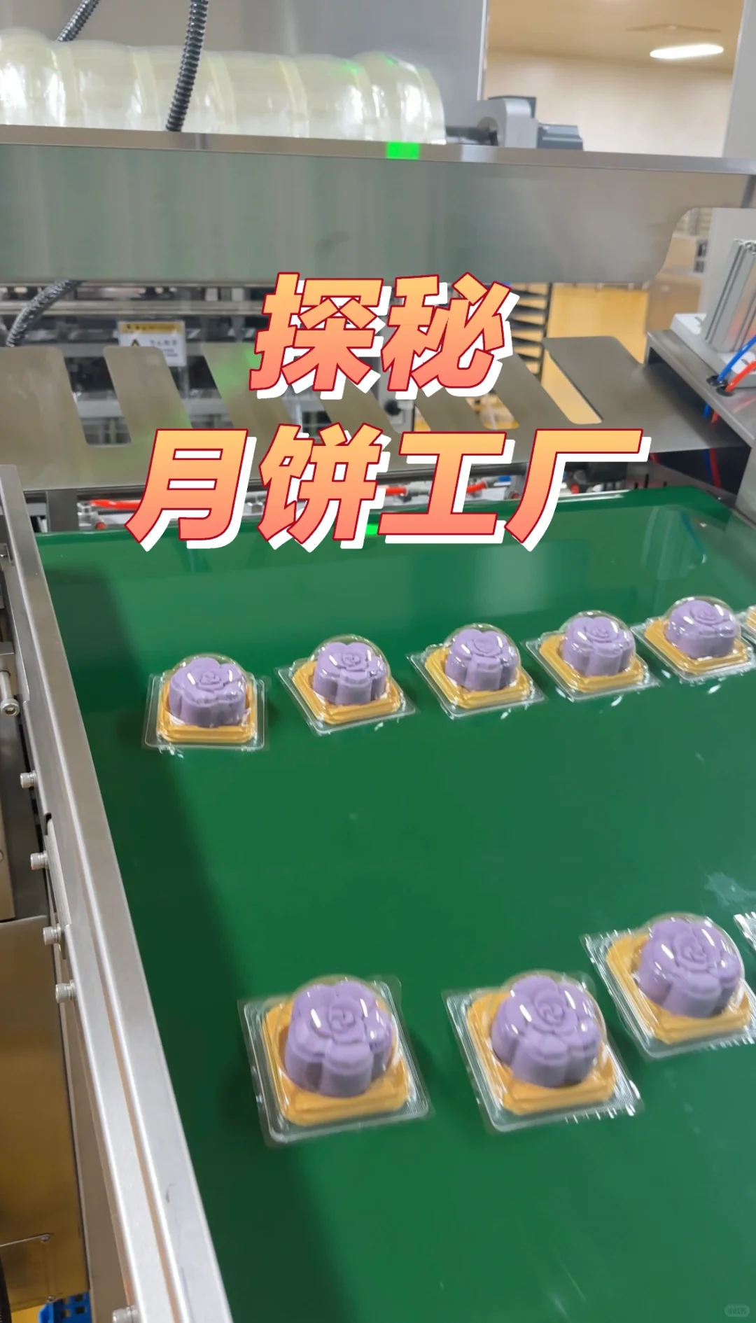探秘月饼工厂(第一篇)