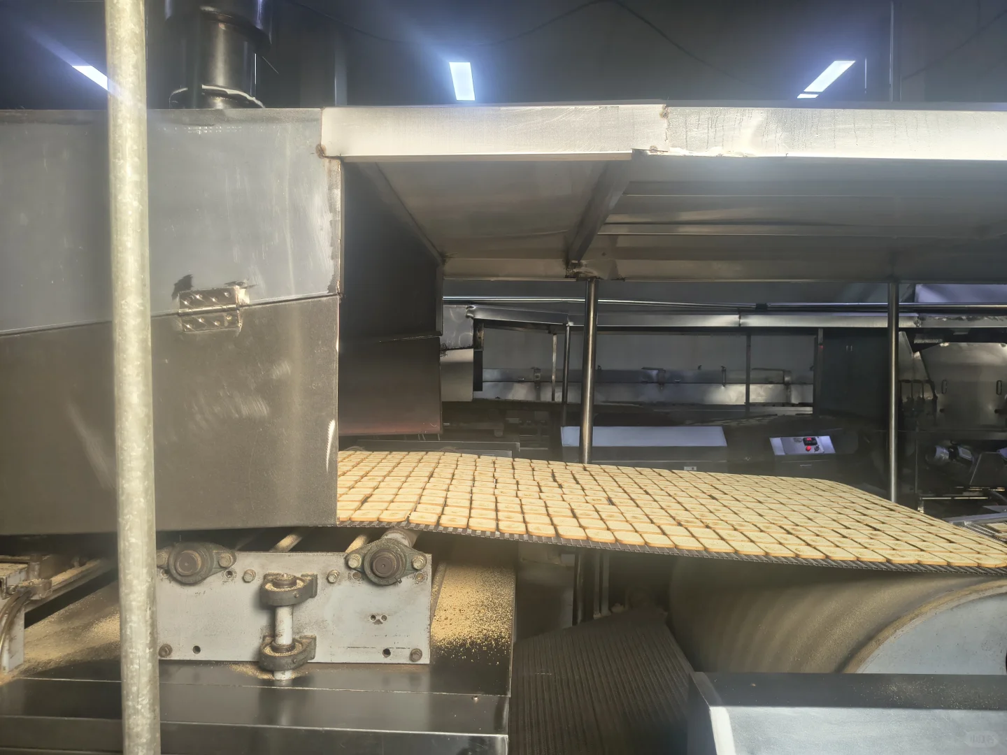 参观现代化食品厂，大为震撼!