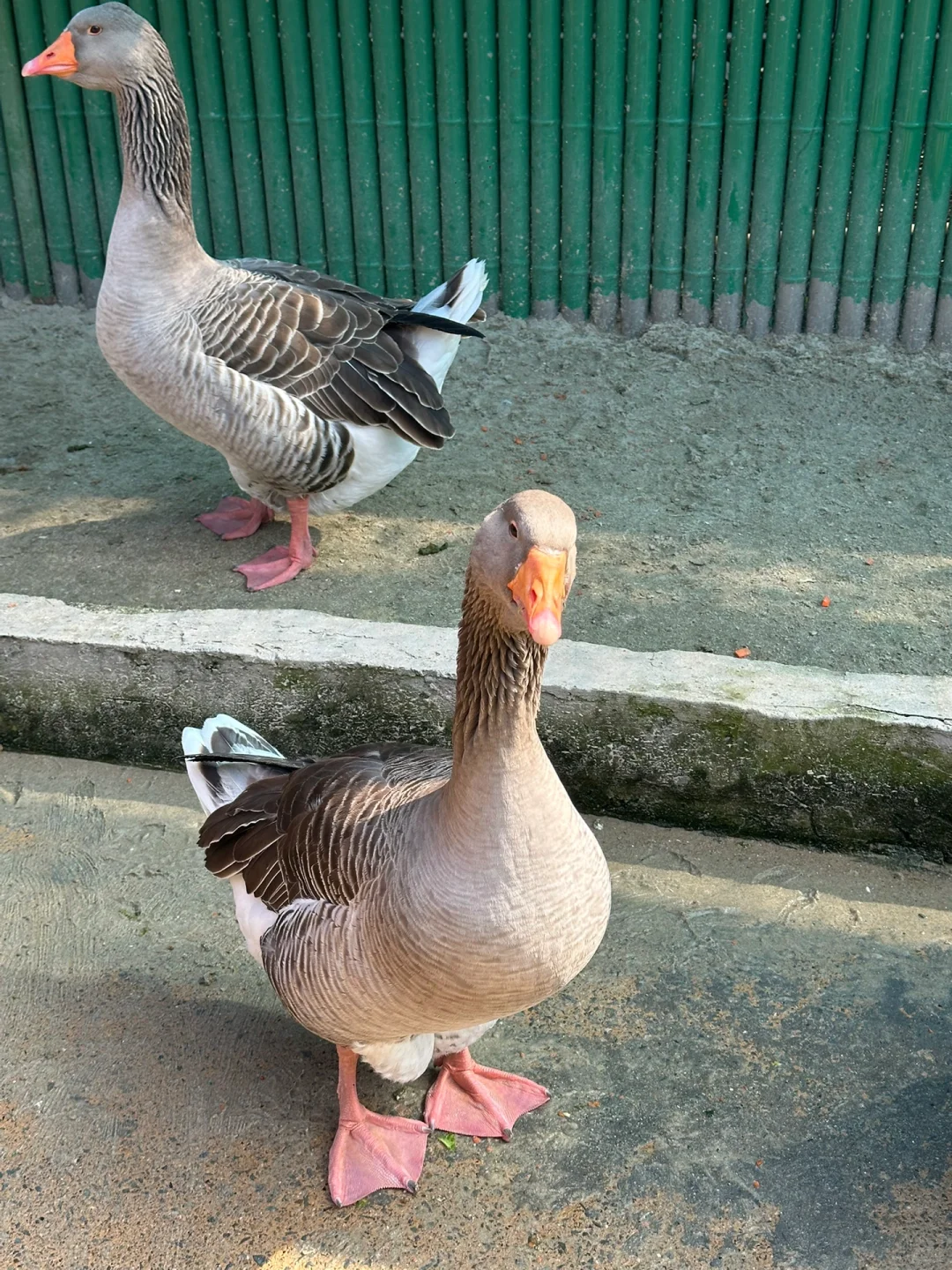 食品工厂审核,那些没经过美化的真实瞬间