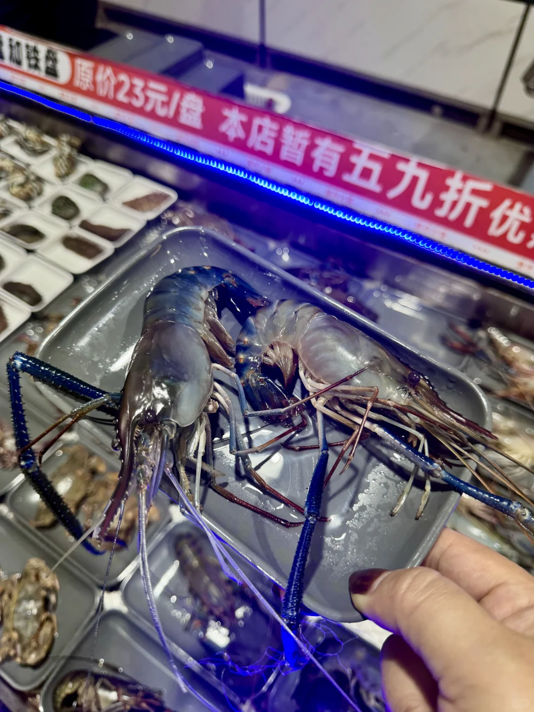 保定人也有自己的海鲜工厂了！！！