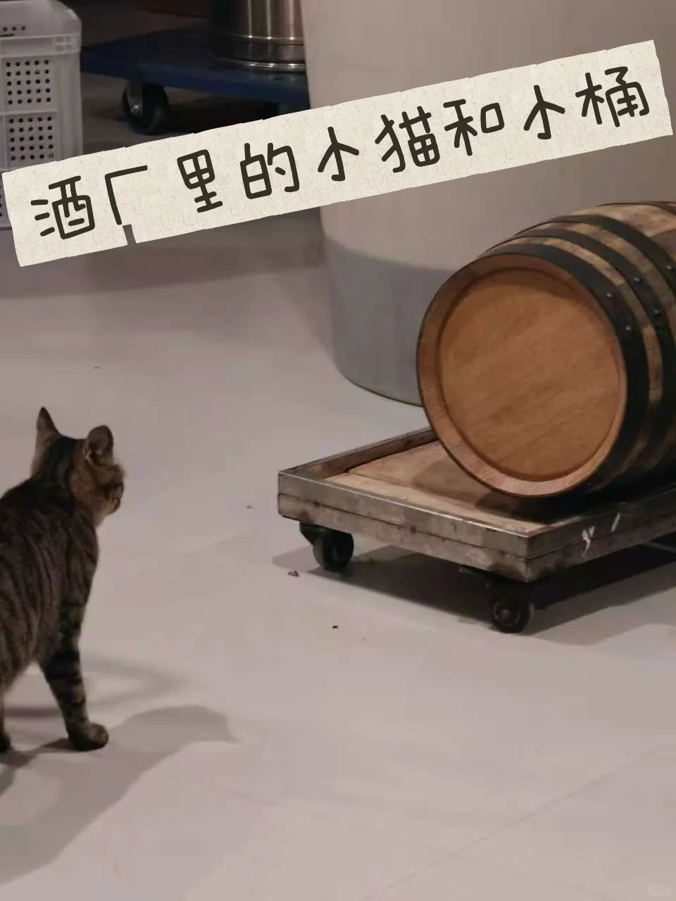 0经验如何入职酒厂产品经理,我全招了