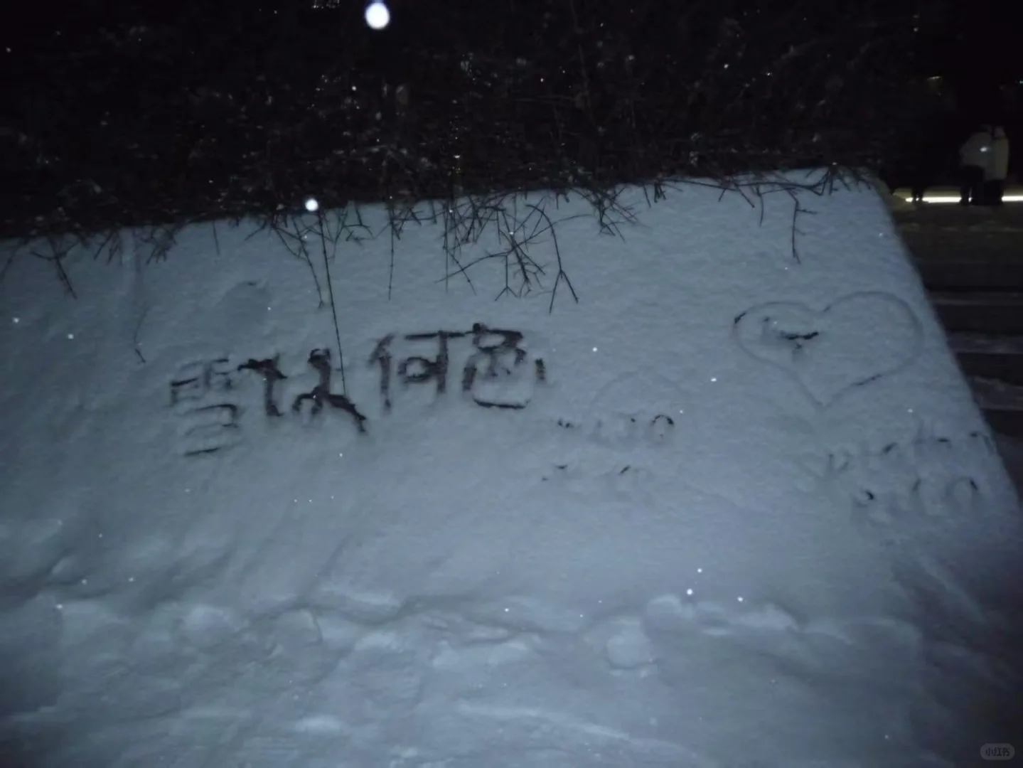 北京林业大雪⛄大赏，堆雪人大赛优等奖?