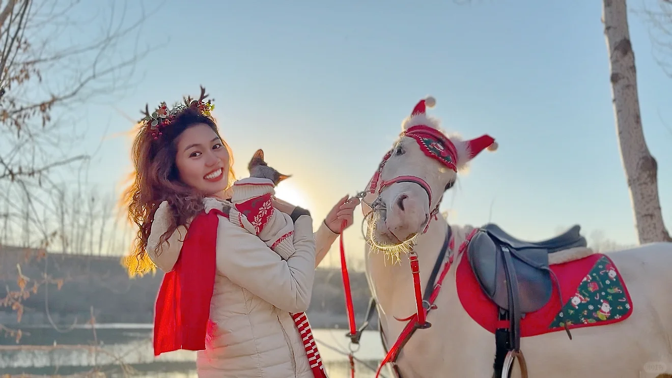 圣诞马术写真?｜圣诞快乐