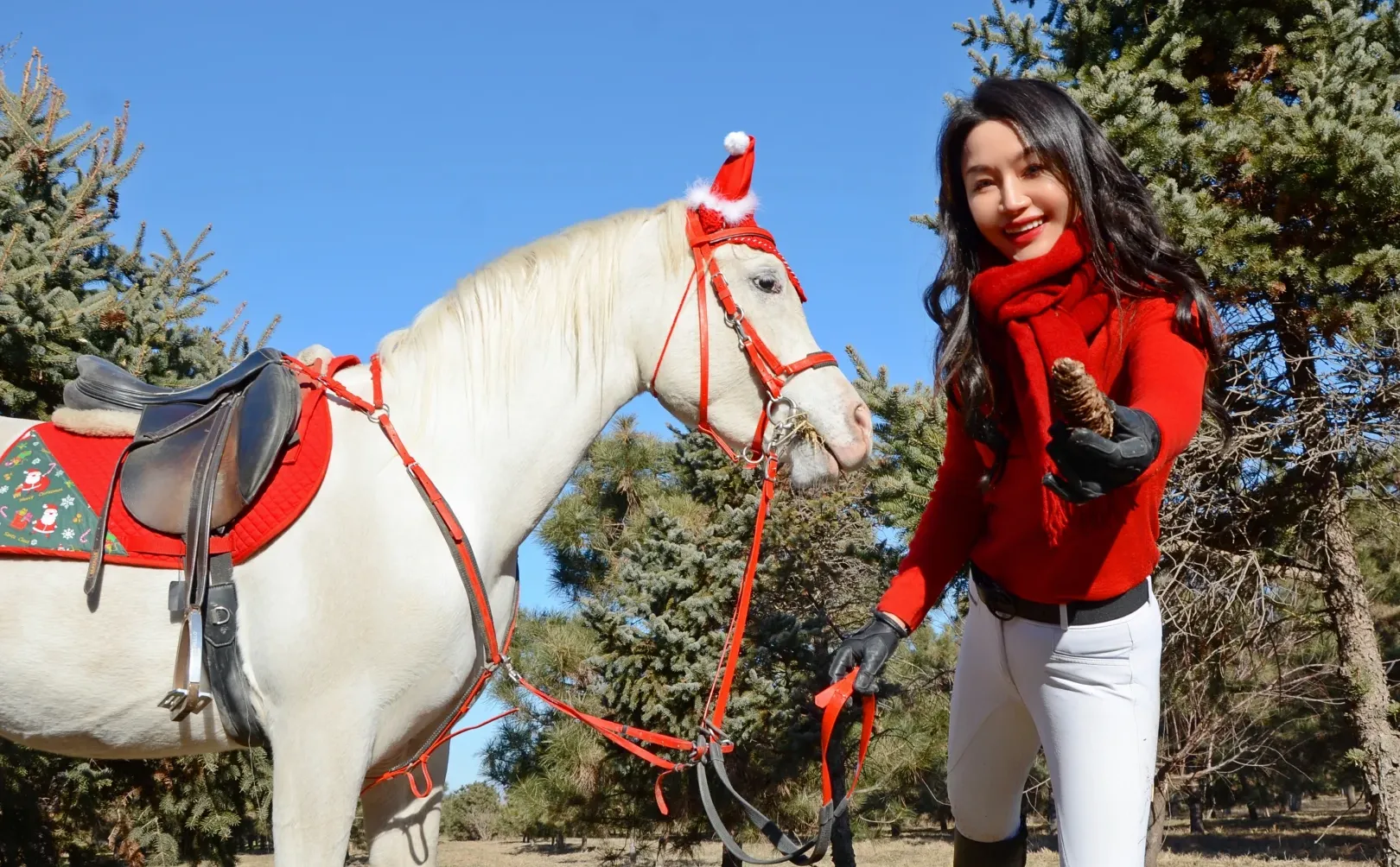 圣诞马术写真?｜圣诞快乐