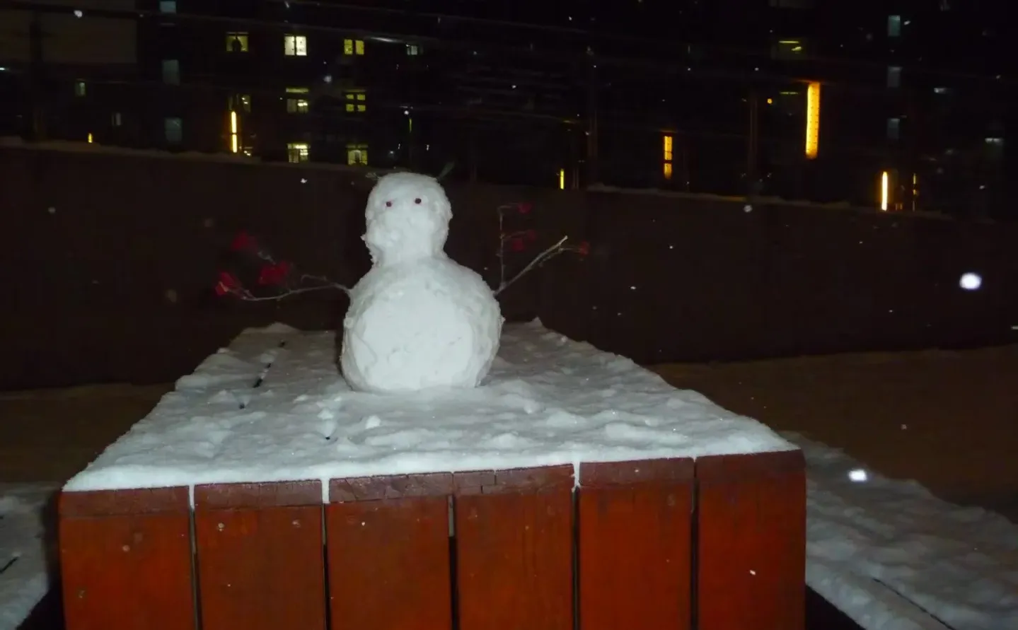 北京林业大雪⛄大赏，堆雪人大赛优等奖?