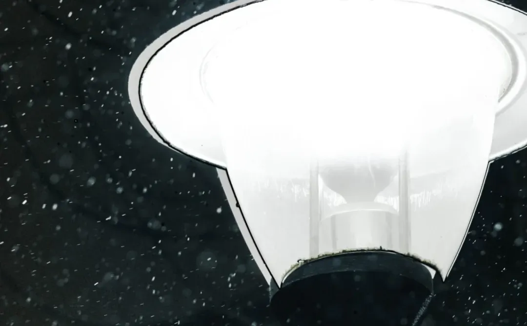 林子好像一个微缩模型