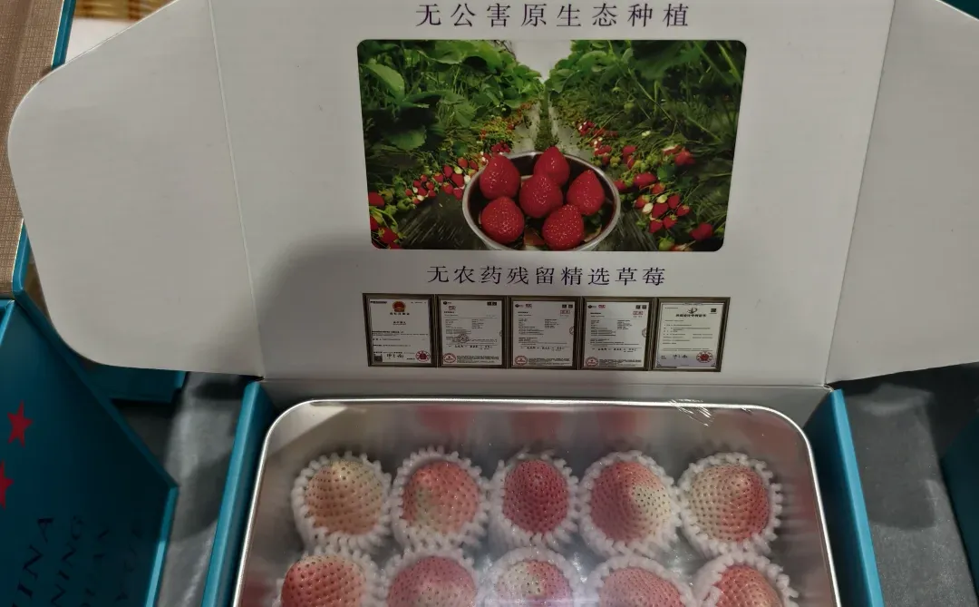 北京国际食品博览会避坑