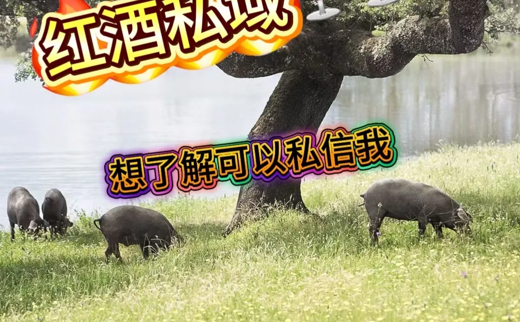 下一个风口，红酒实体店私域月入300万！