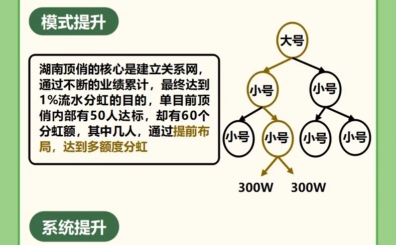 顶俏模式，酒水行业新玩法