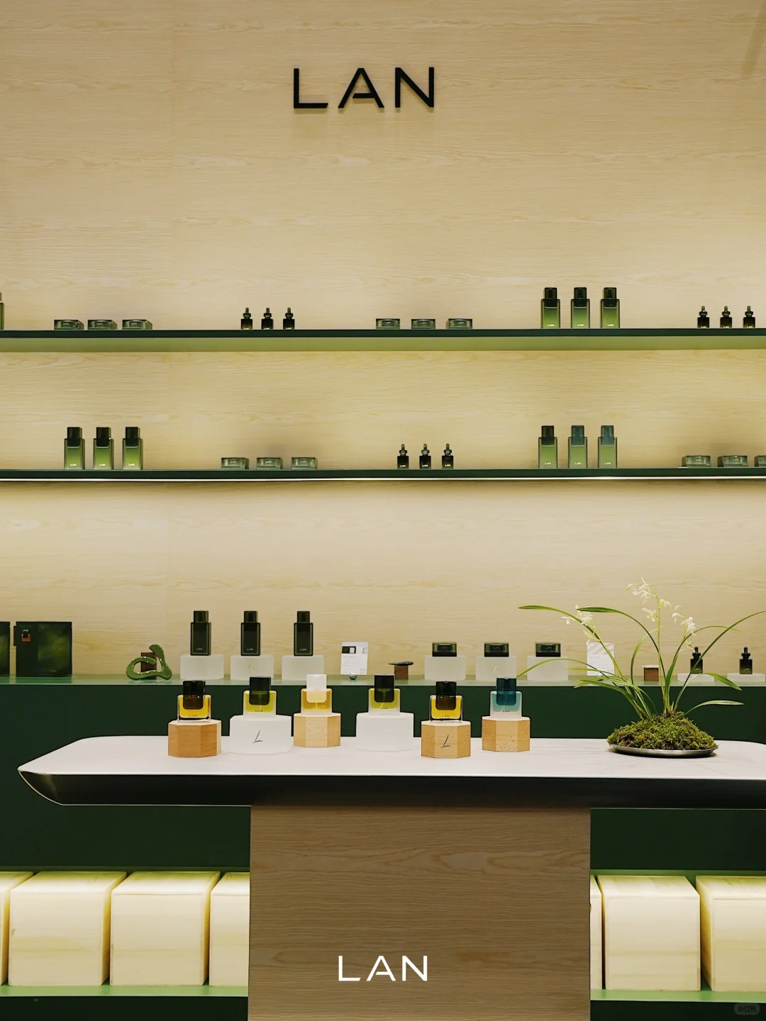 美护上海 | LAN栖沪境展陈已落 欢迎你来！