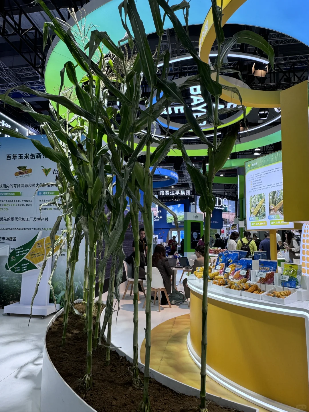 设计师必看展台细节！