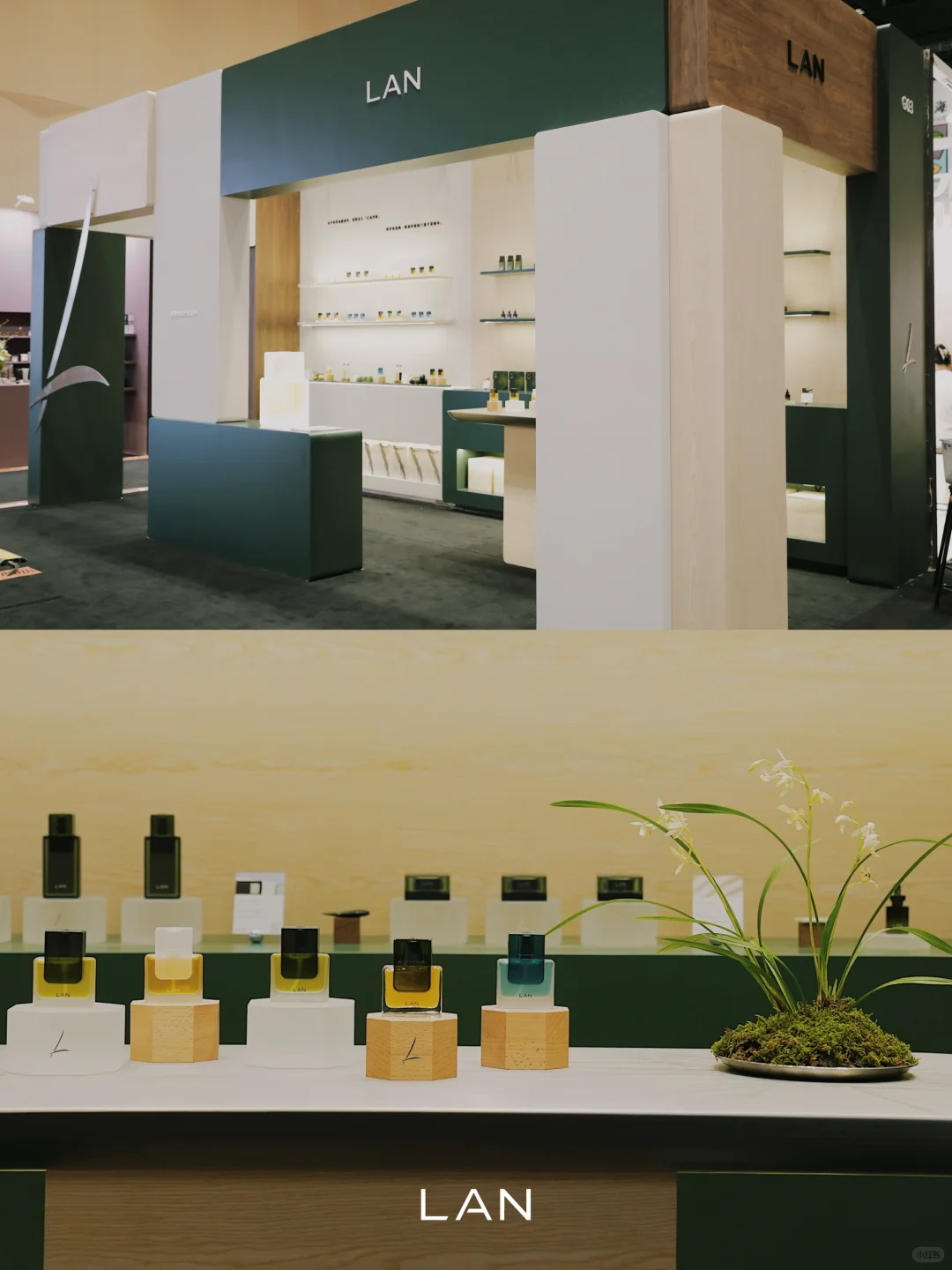 美护上海 | LAN栖沪境展陈已落 欢迎你来！