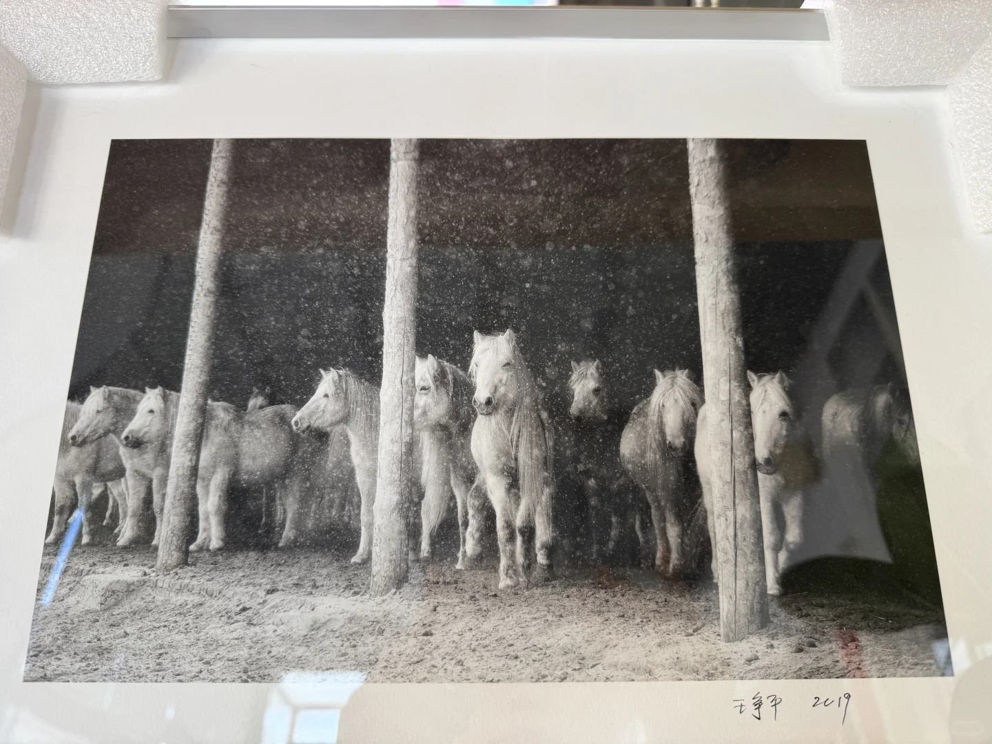 独属于看展的你?