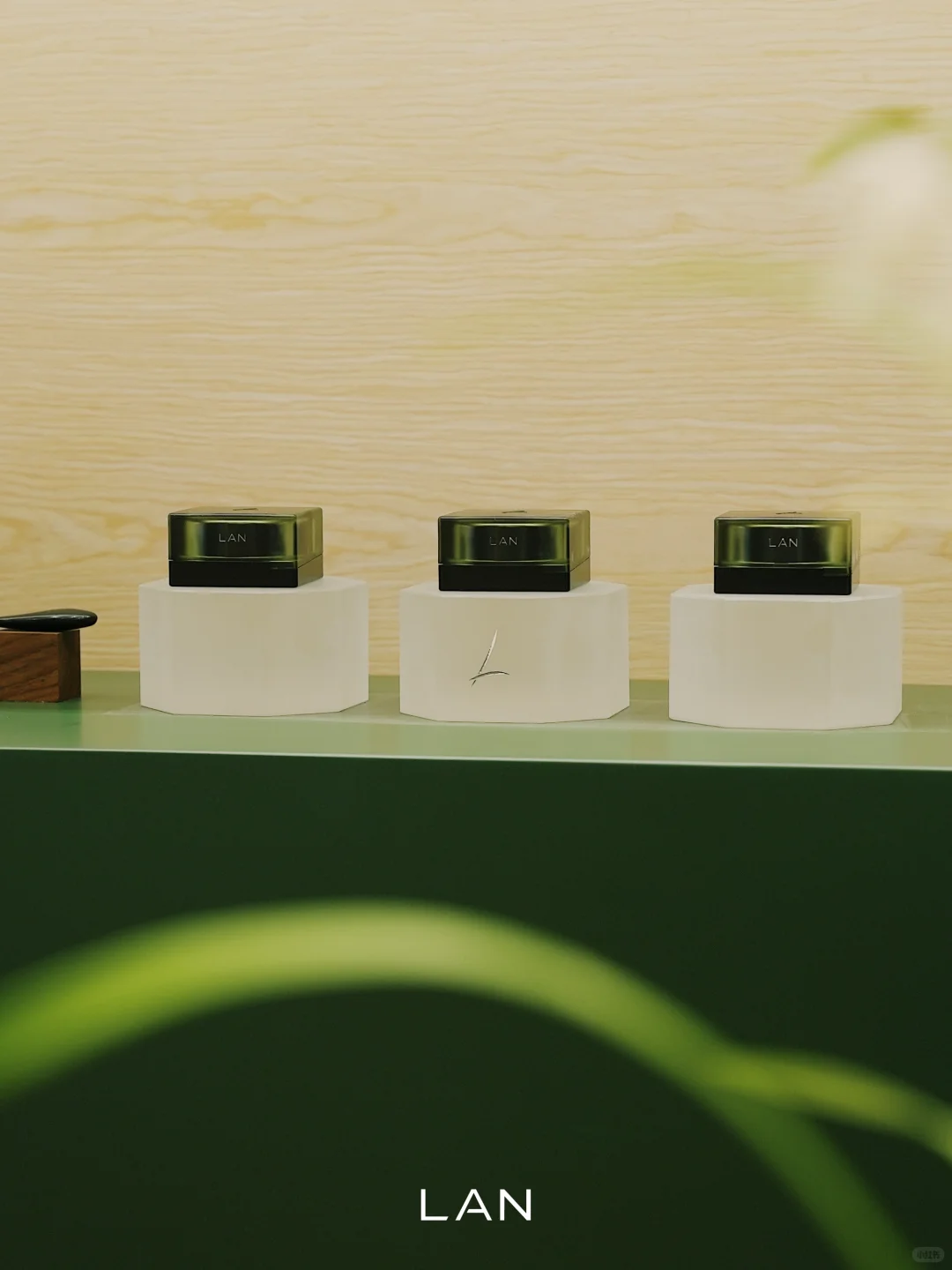 美护上海 | LAN栖沪境展陈已落 欢迎你来！