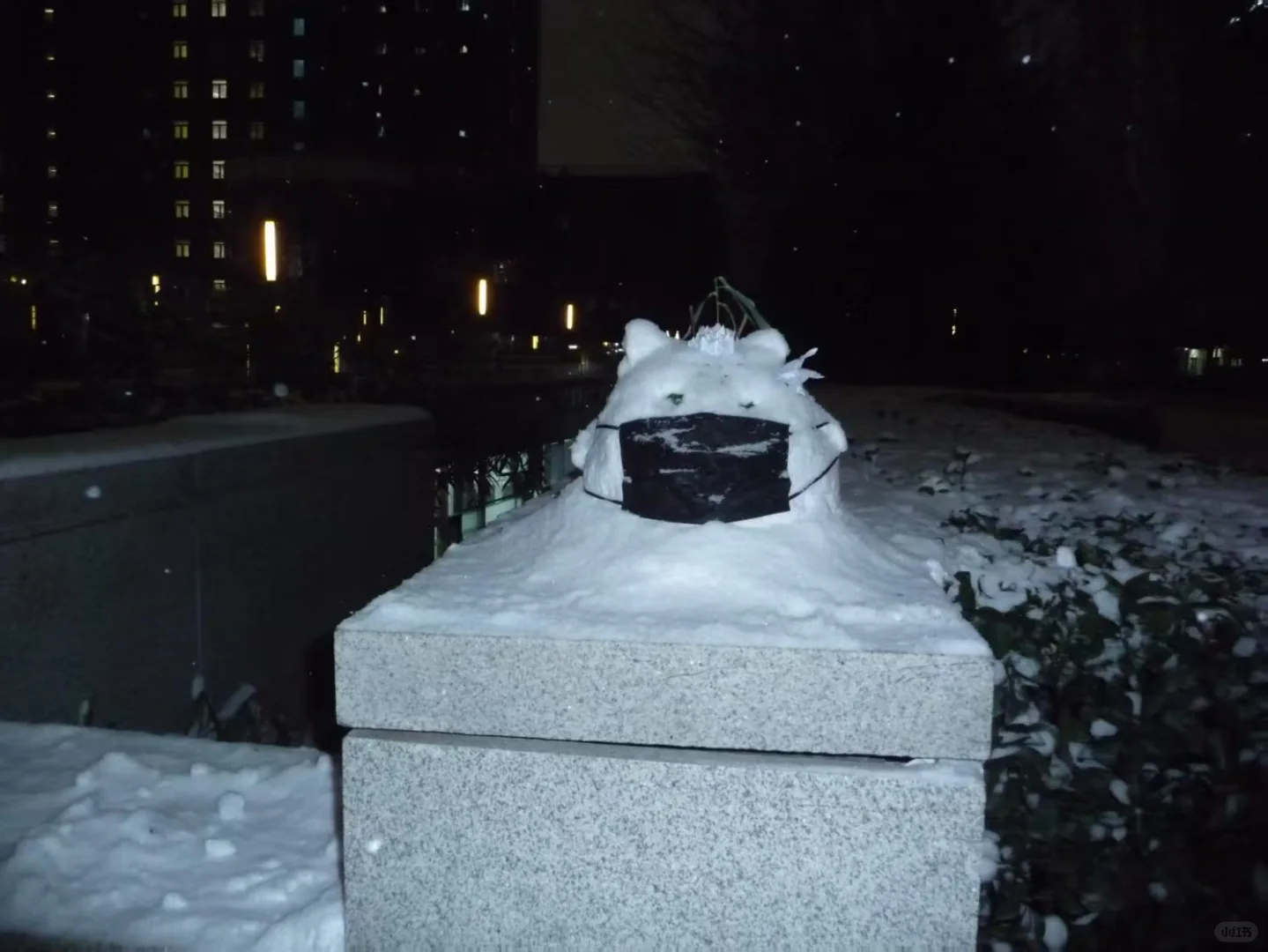 北京林业大雪⛄大赏，堆雪人大赛优等奖?