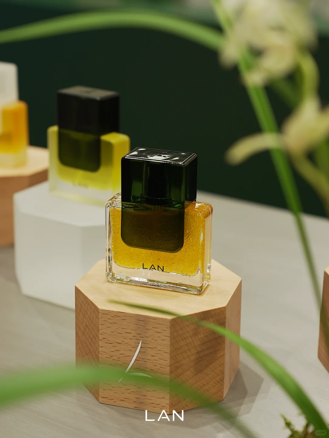 美护上海 | LAN栖沪境展陈已落 欢迎你来！