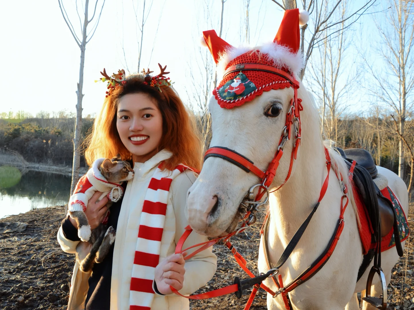 圣诞马术写真?｜圣诞快乐