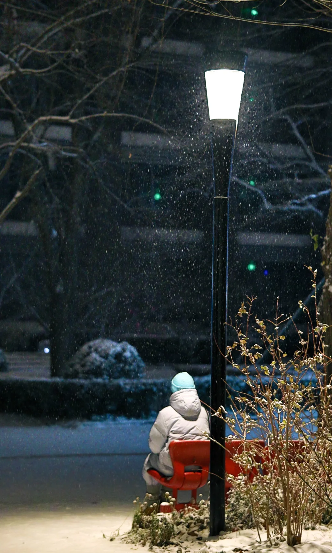 林子好像一个微缩模型