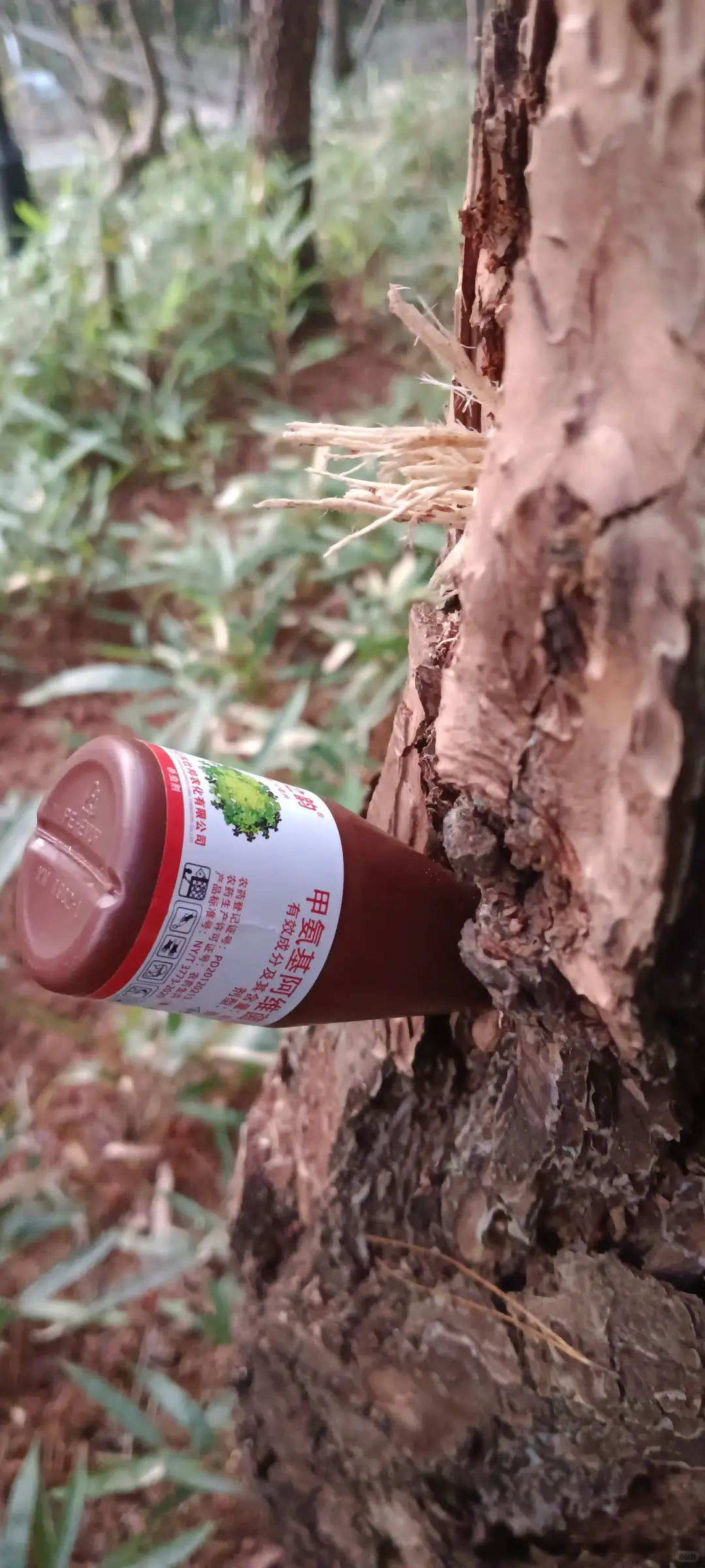 林业工程人的一天