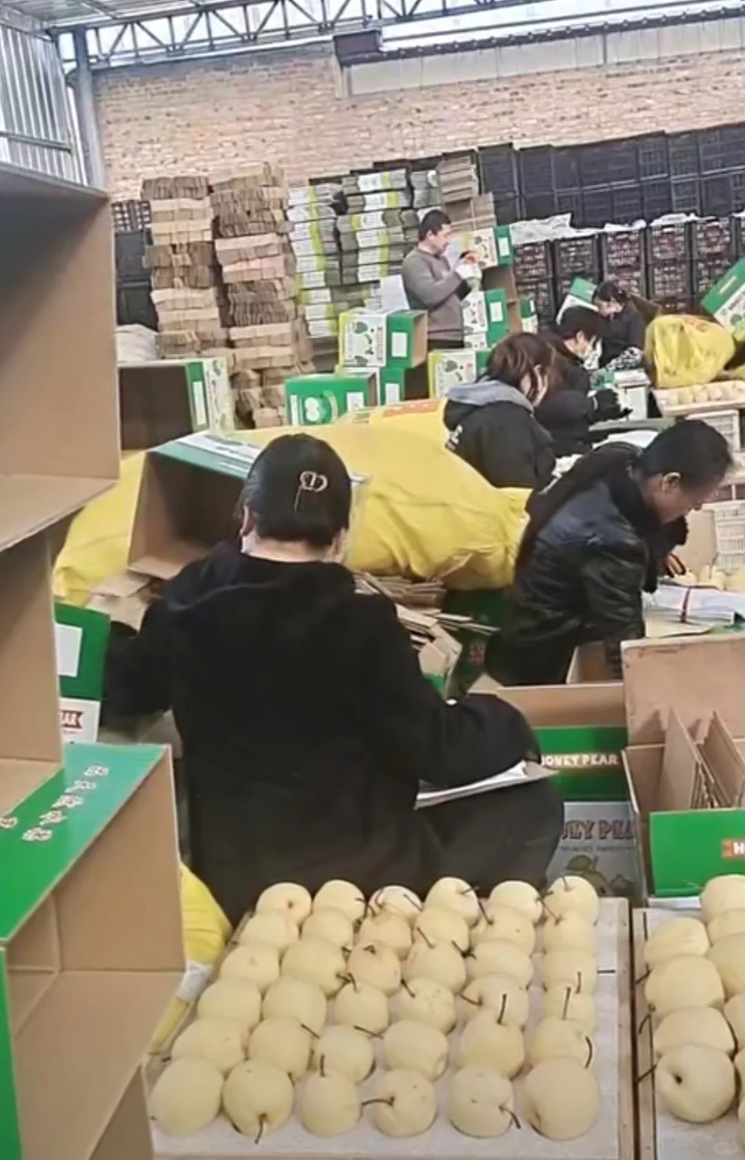 山西自家种的酥梨真的没人买吗