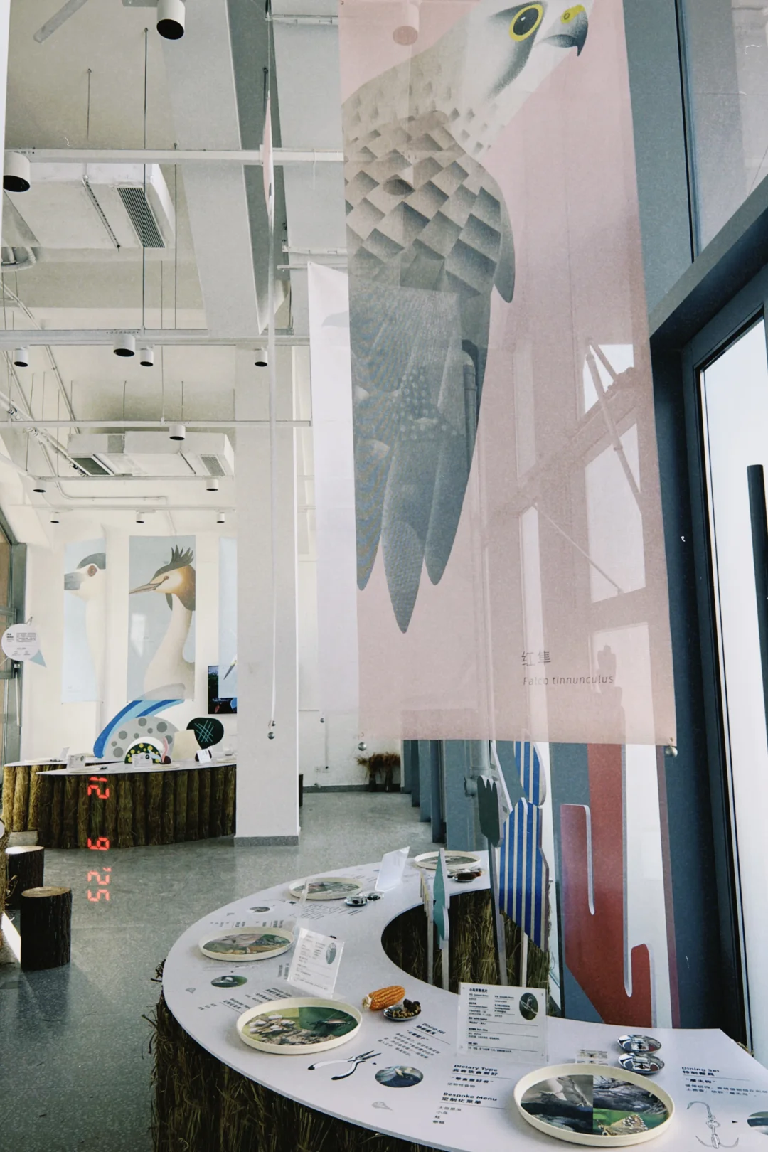 鸟鸟派对｜ 科普展