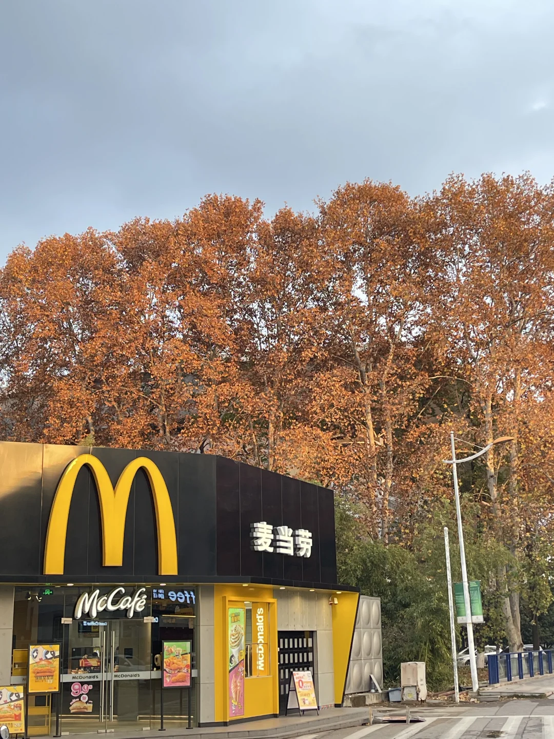 南京的秋天真的结束了