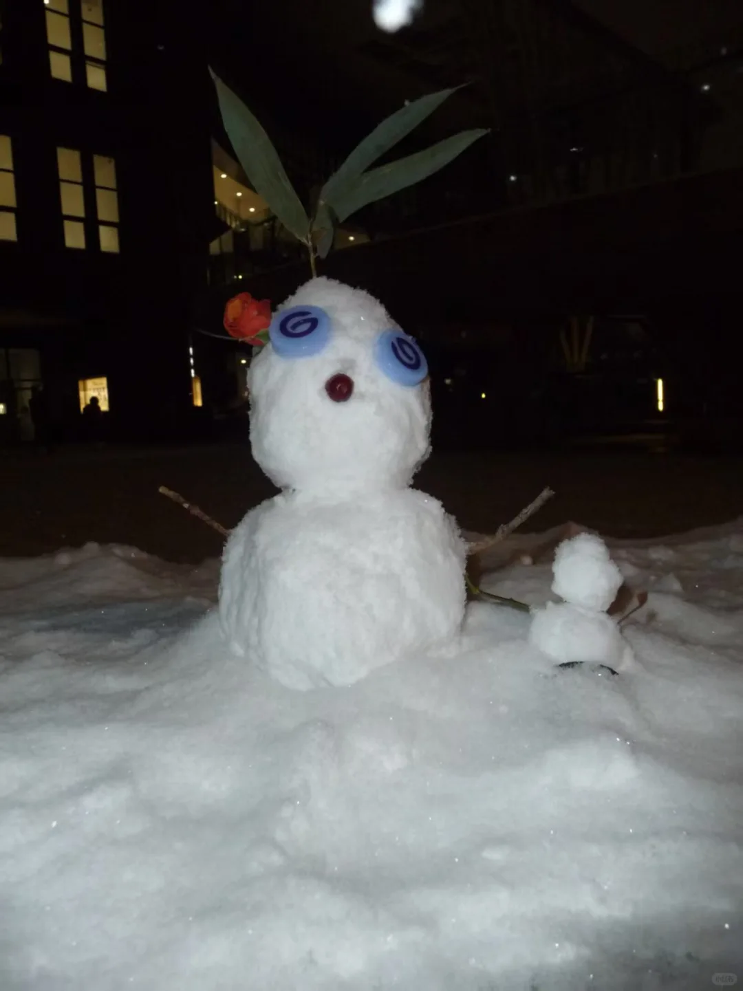 北京林业大雪⛄大赏，堆雪人大赛优等奖?