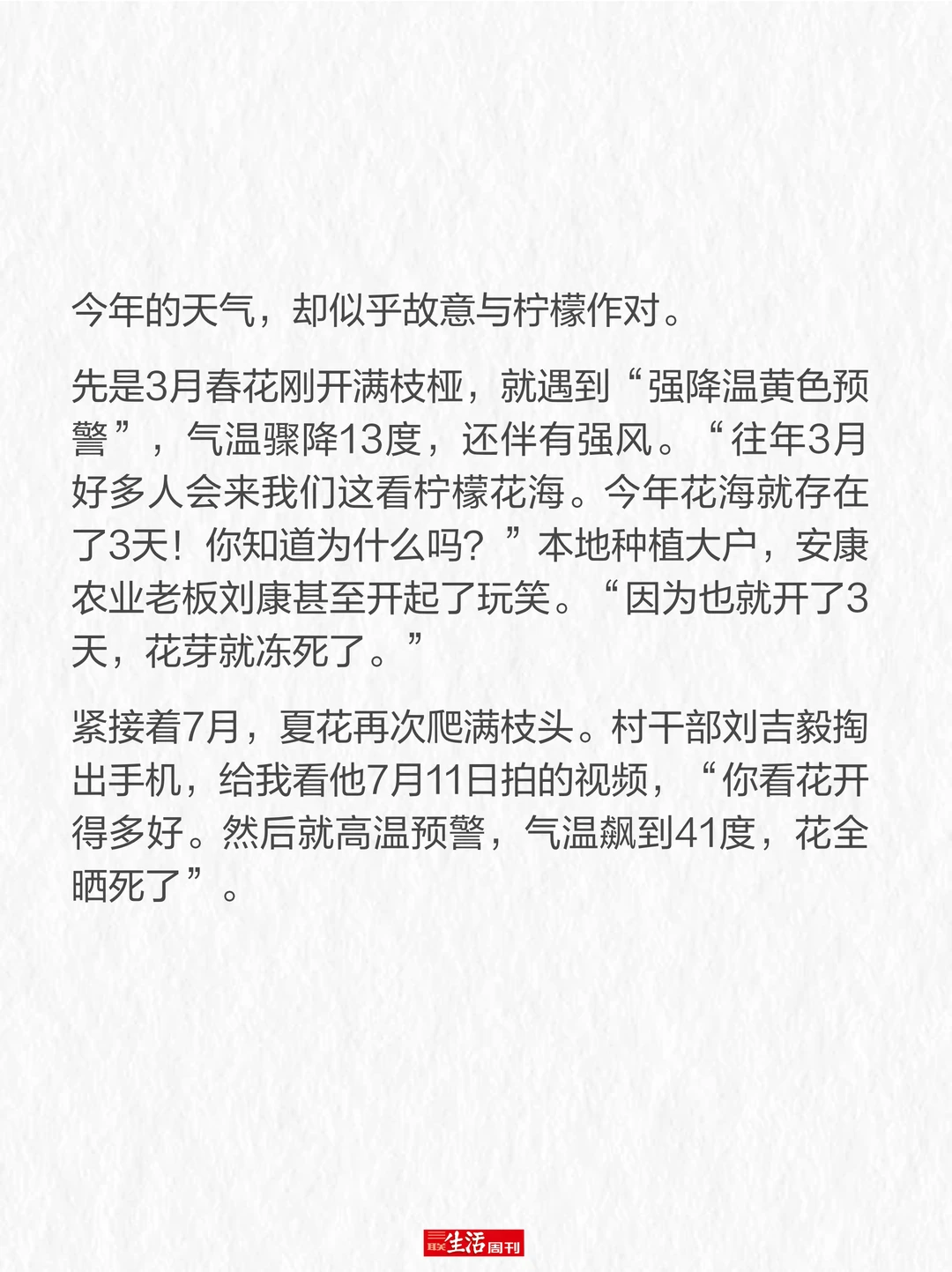 柠檬价格暴涨,我们要失去柠檬水自由了吗?