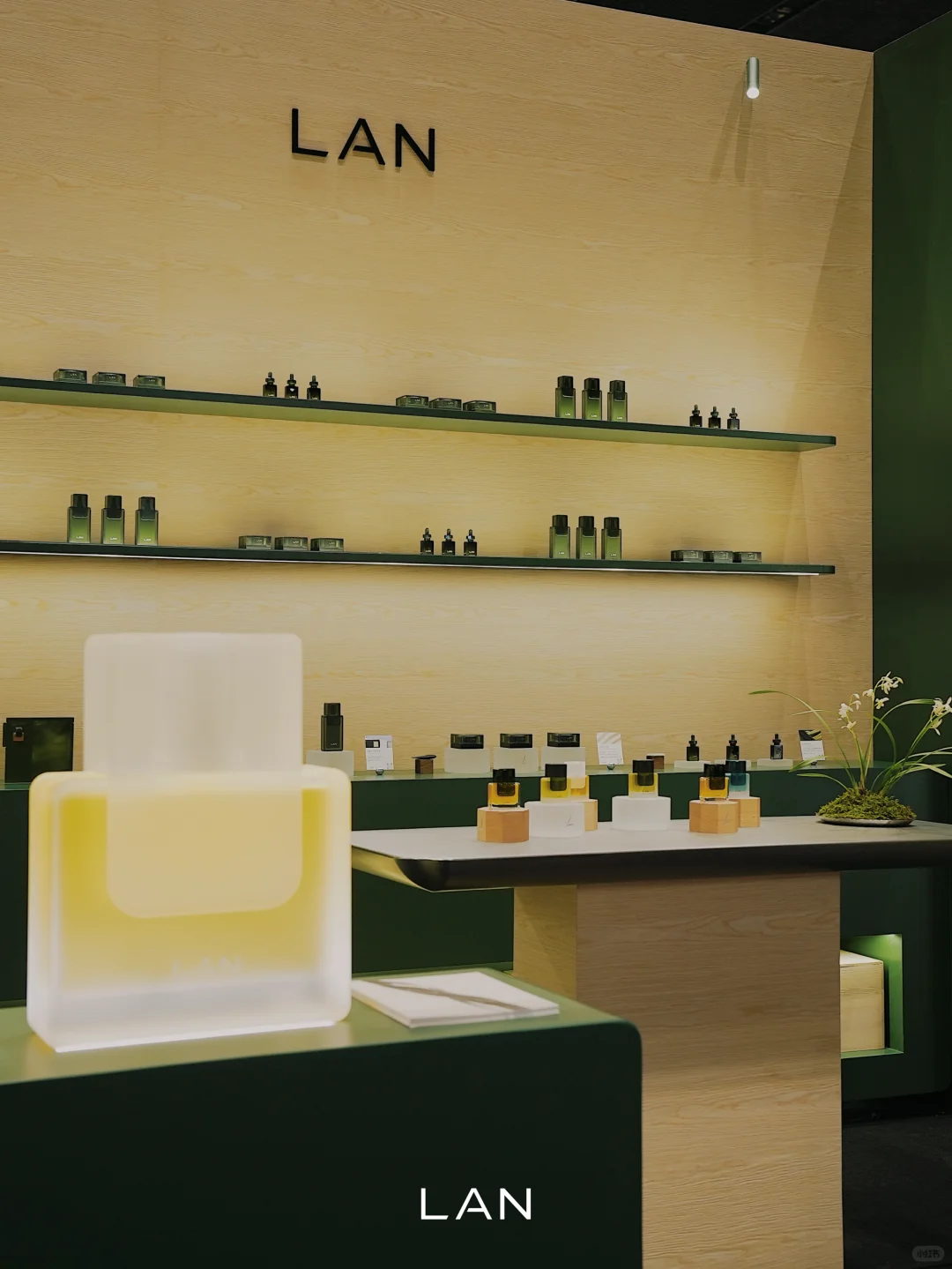 美护上海 | LAN栖沪境展陈已落 欢迎你来！