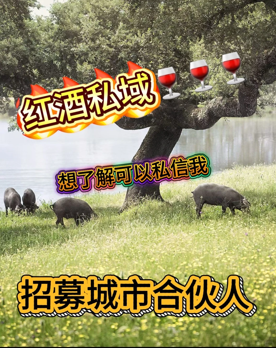 下一个风口，红酒实体店私域月入300万！