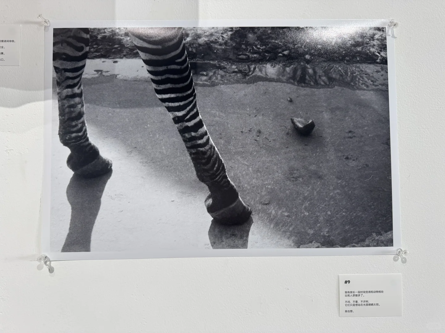 独属于看展的你?