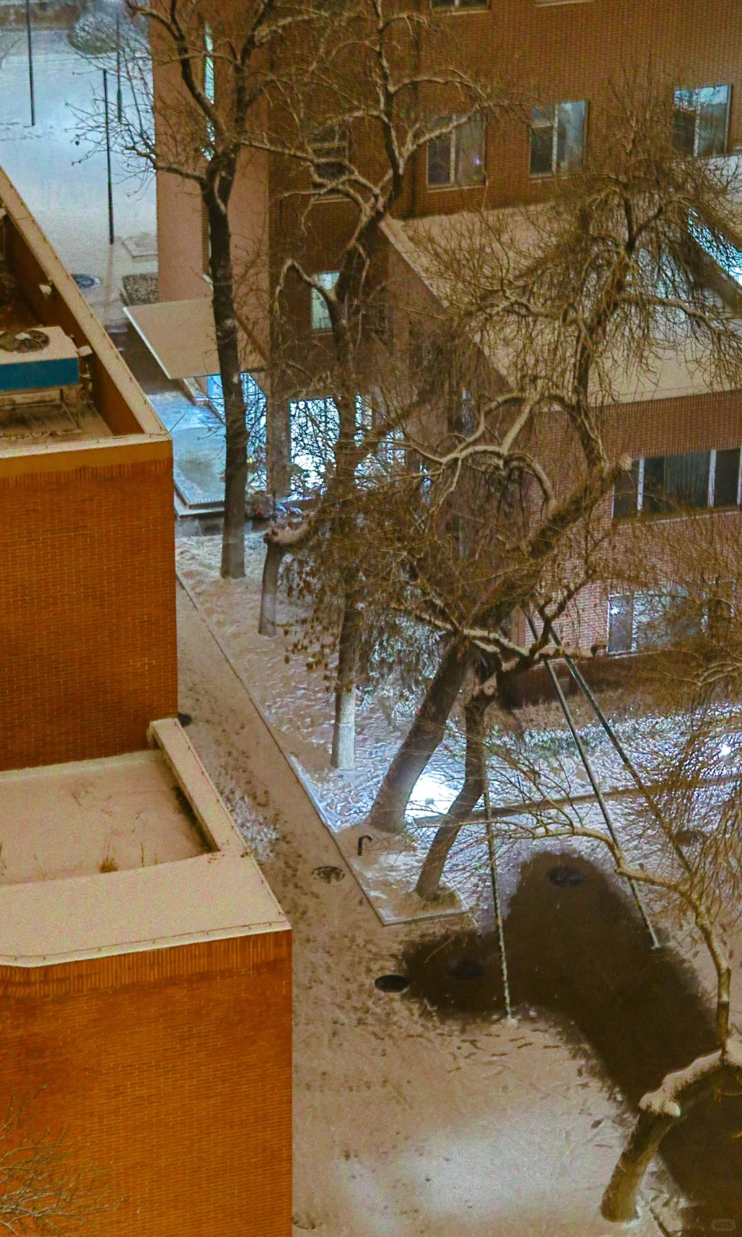 林子好像一个微缩模型