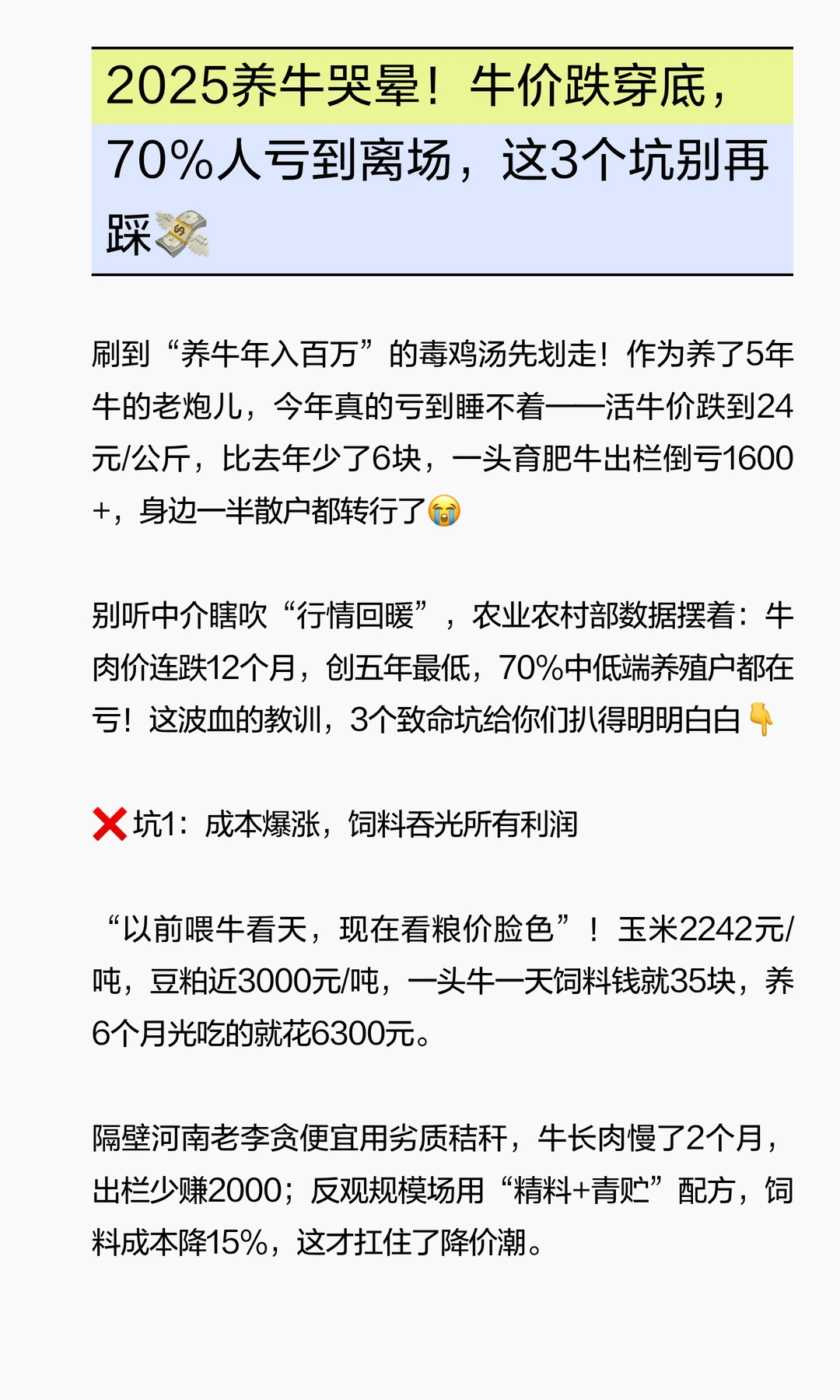 2025养牛哭晕！牛价跌穿底