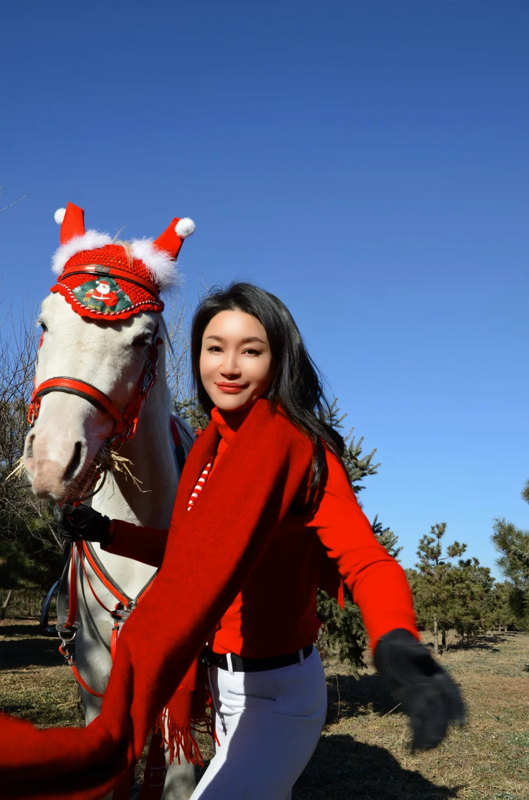 圣诞马术写真?｜圣诞快乐