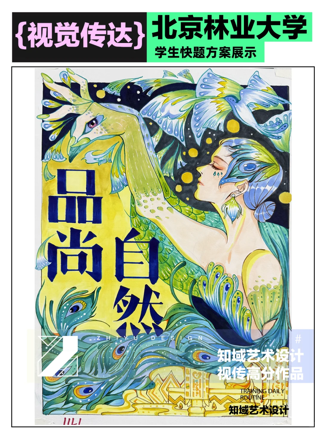 北京林业大学视传考研快题大赏‼️