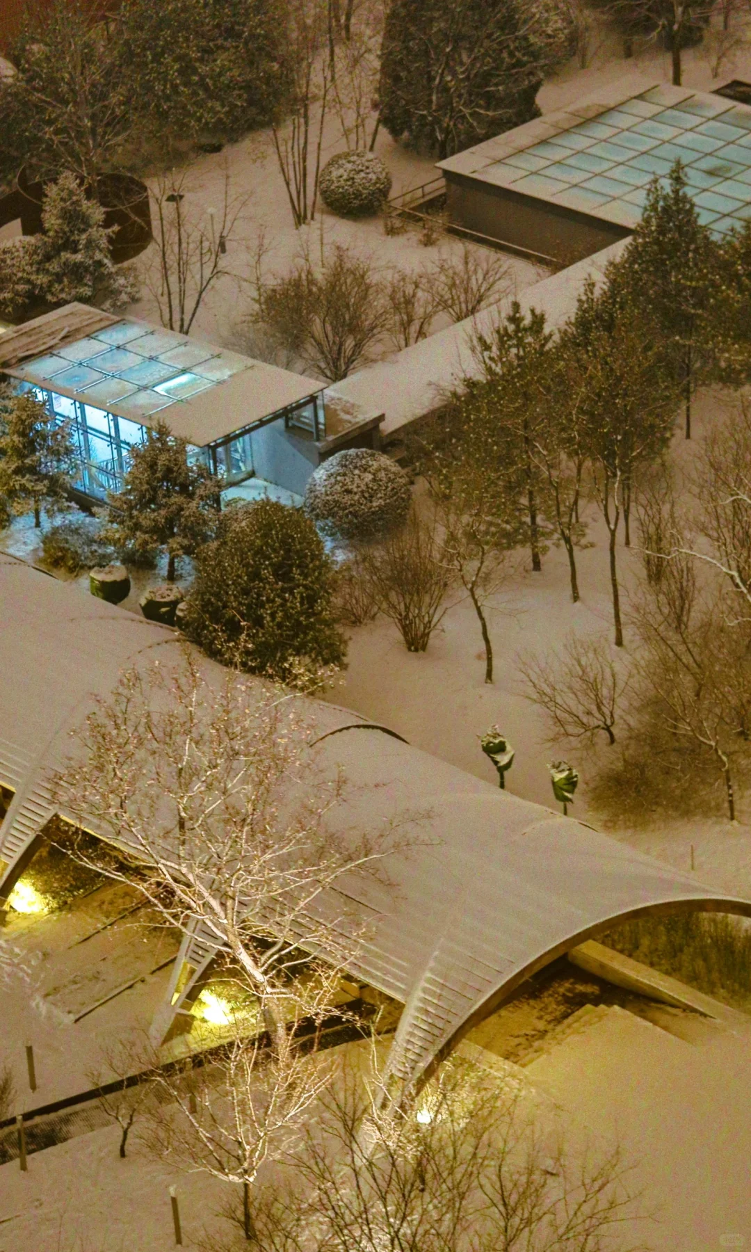 林子好像一个微缩模型