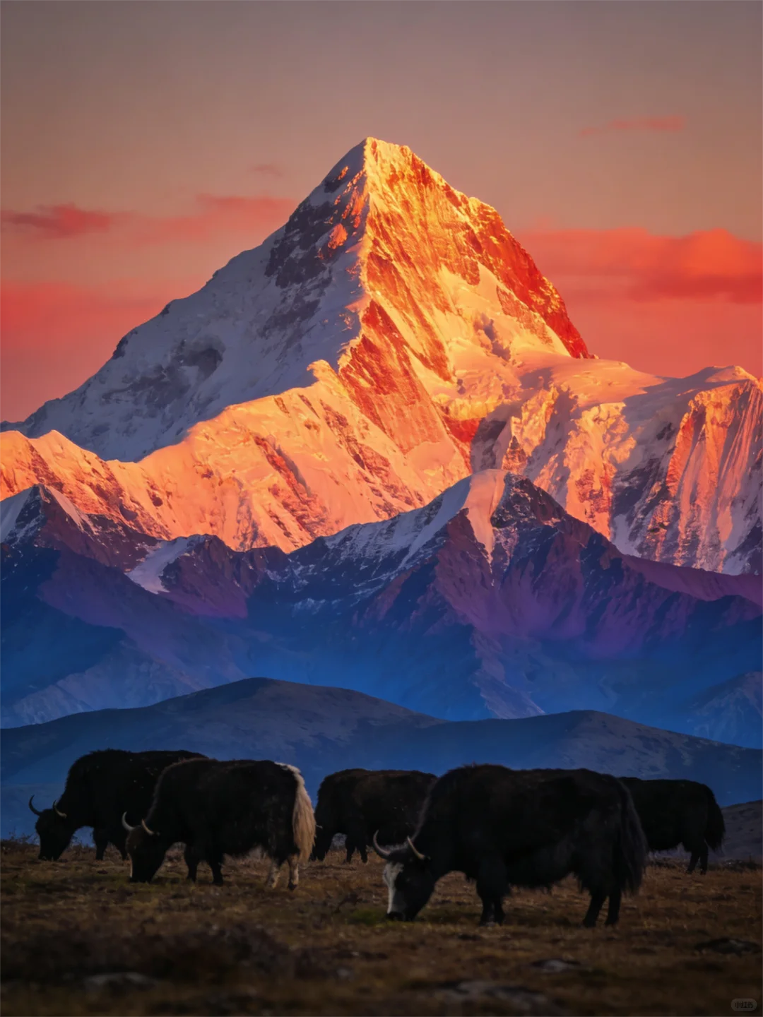 致前行者：草原有诺，后方可依