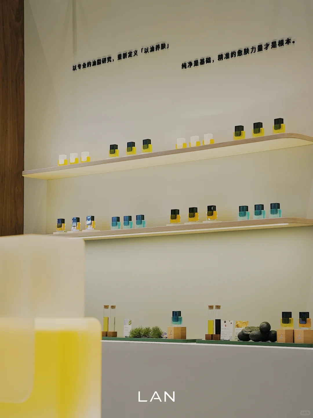 美护上海 | LAN栖沪境展陈已落 欢迎你来！