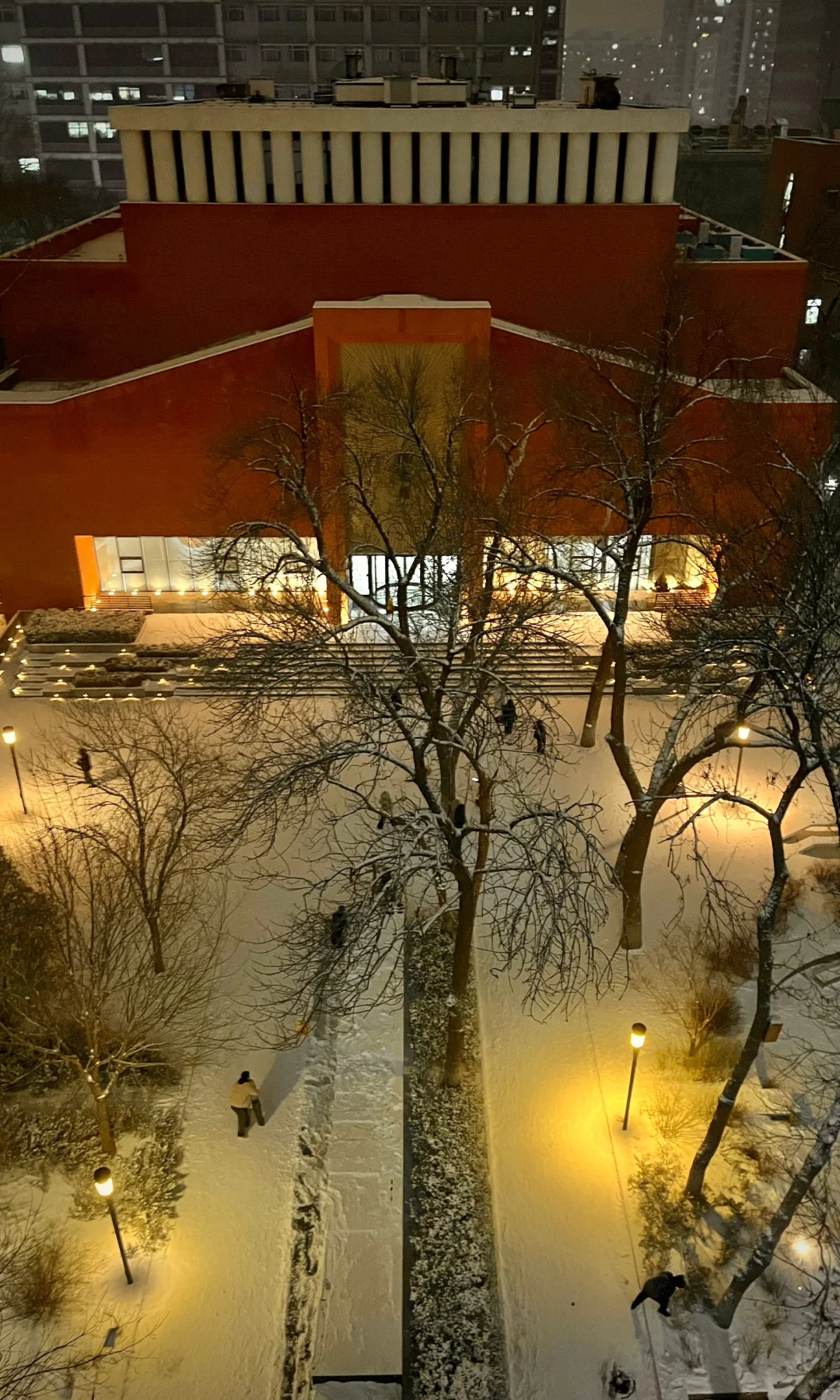 林子好像一个微缩模型