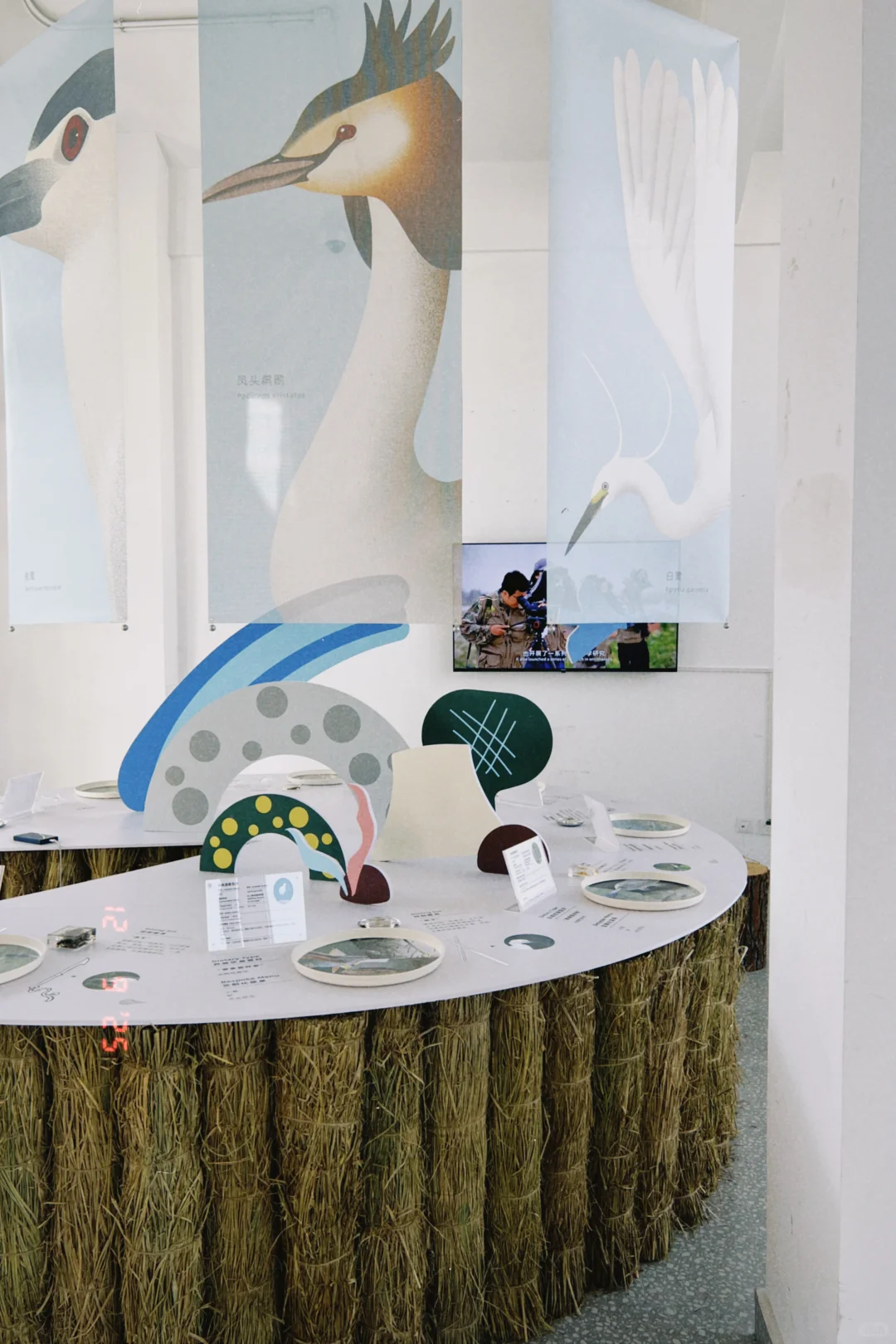 鸟鸟派对｜ 科普展