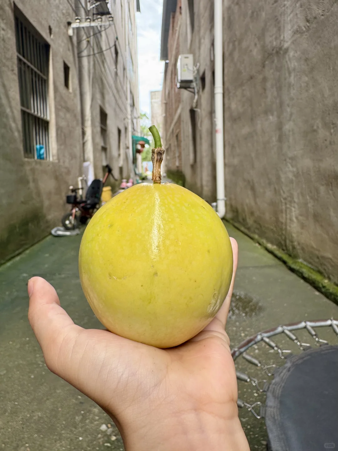 你们刷不到，我们卖不掉?咋办啊？