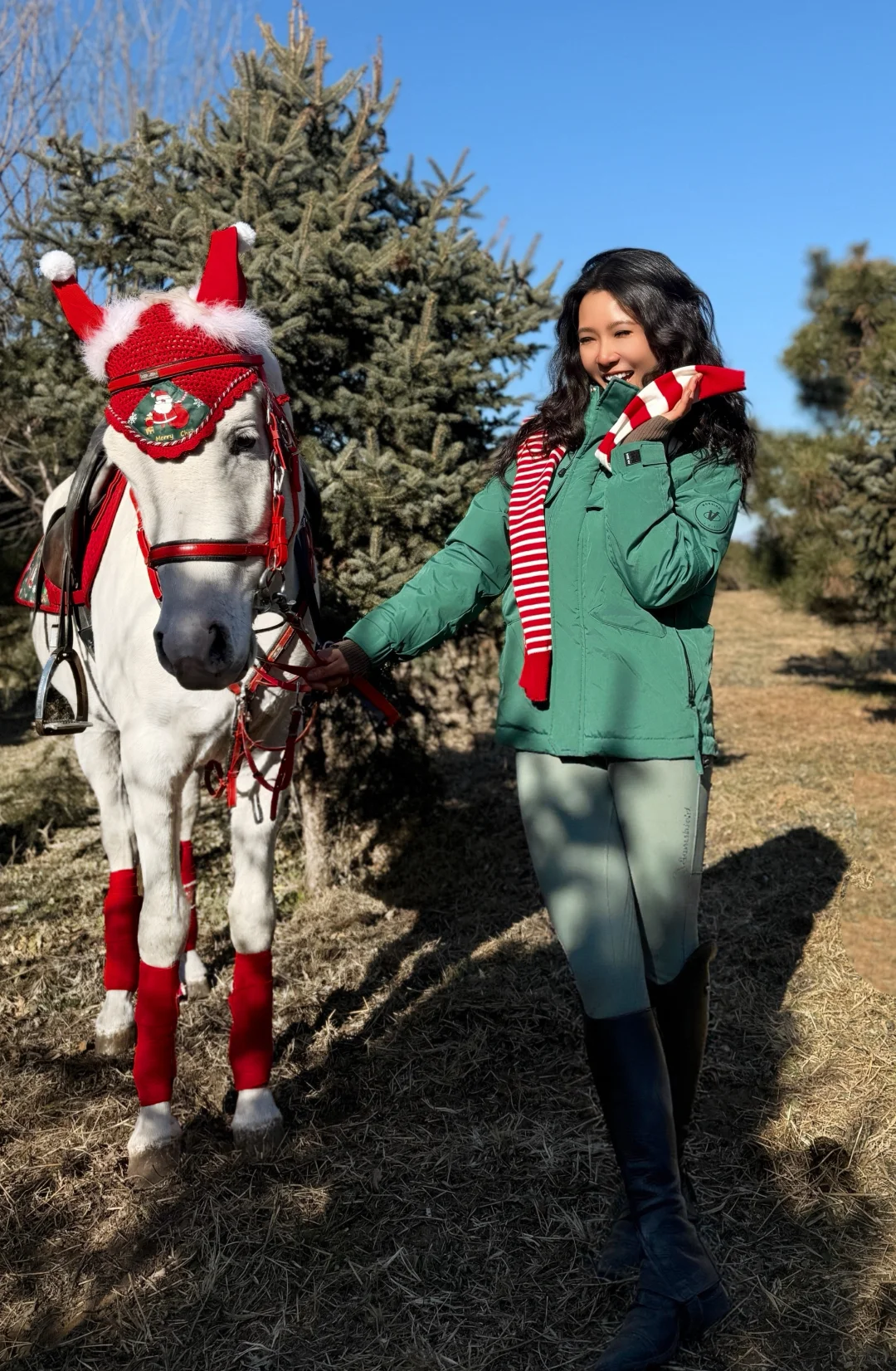 圣诞马术写真?｜圣诞快乐