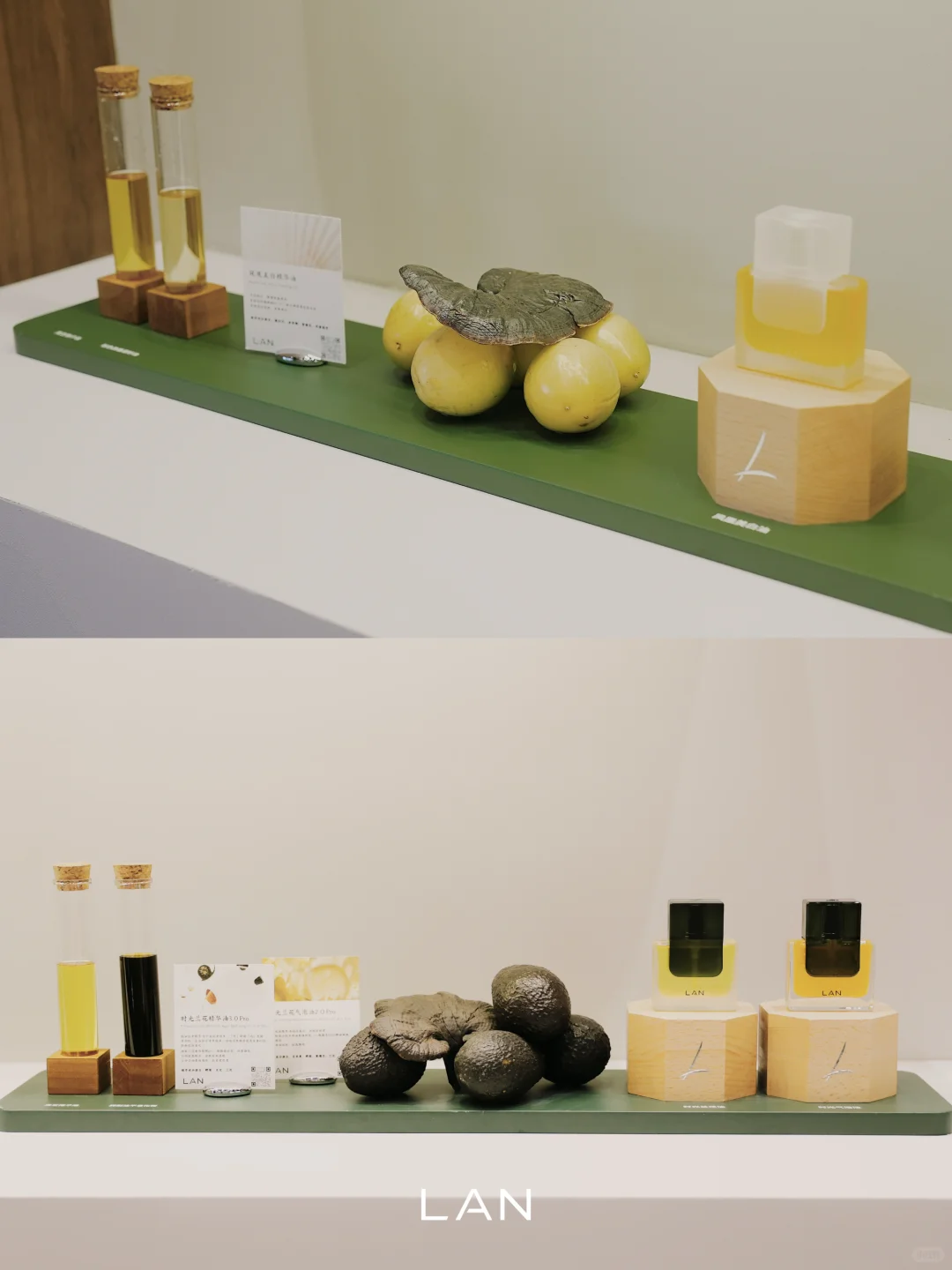 美护上海 | LAN栖沪境展陈已落 欢迎你来！