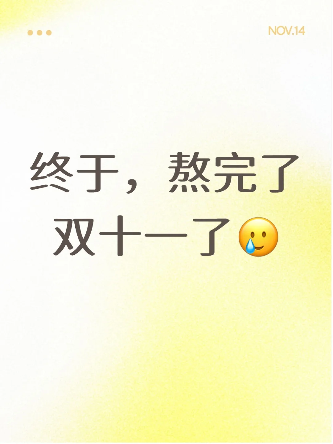 终于,熬完了双十一了?