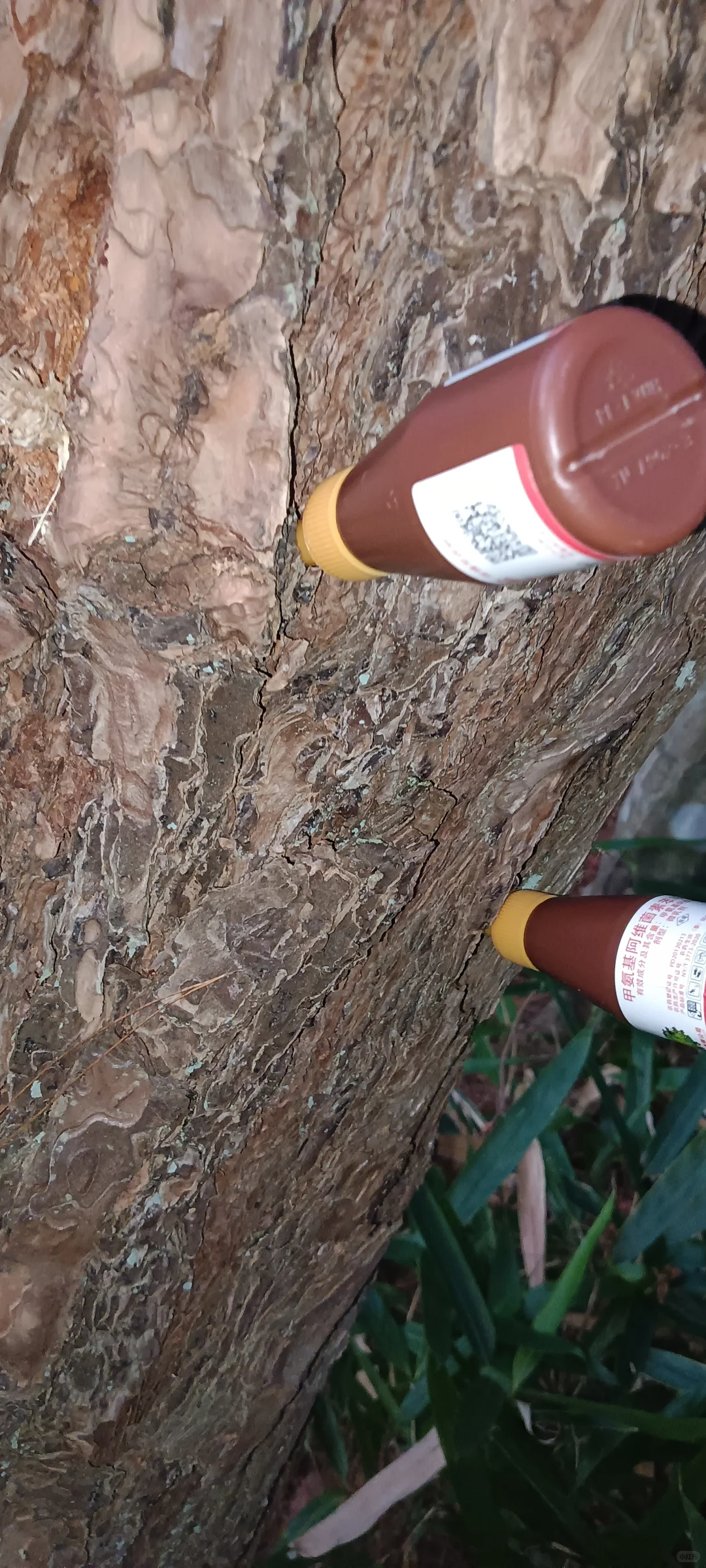 林业工程人的一天