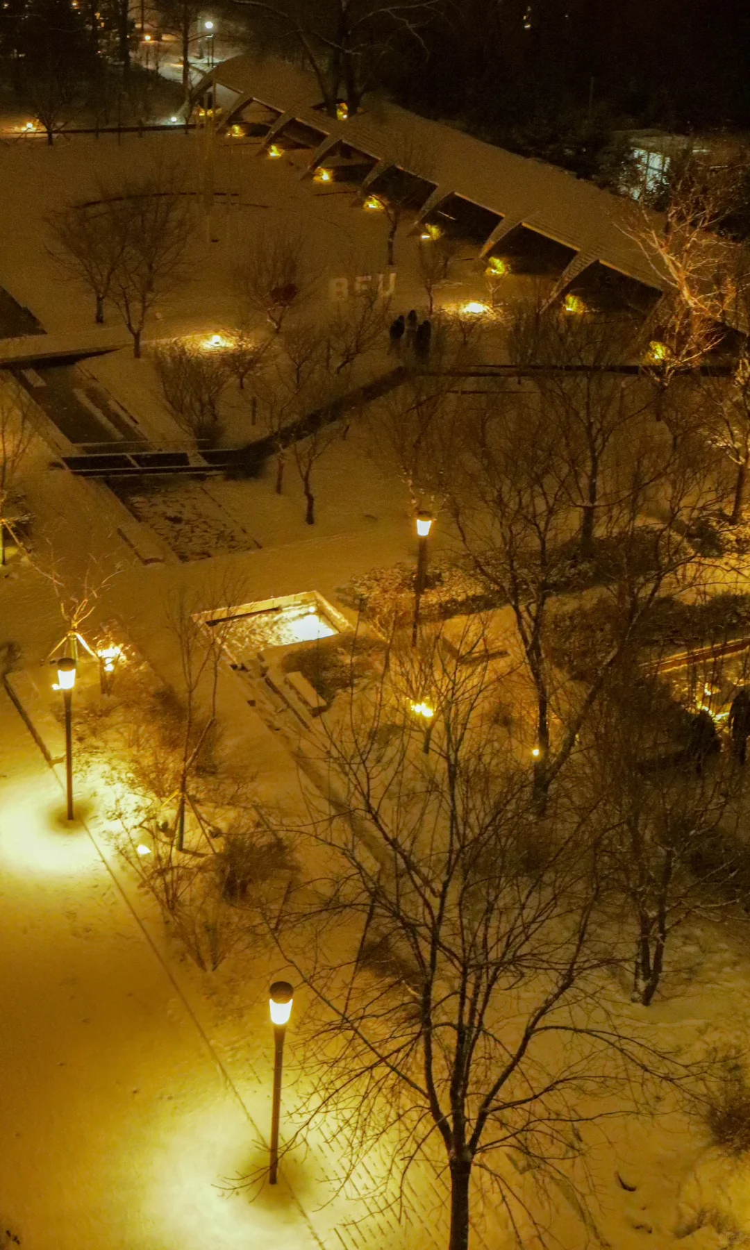 林子好像一个微缩模型