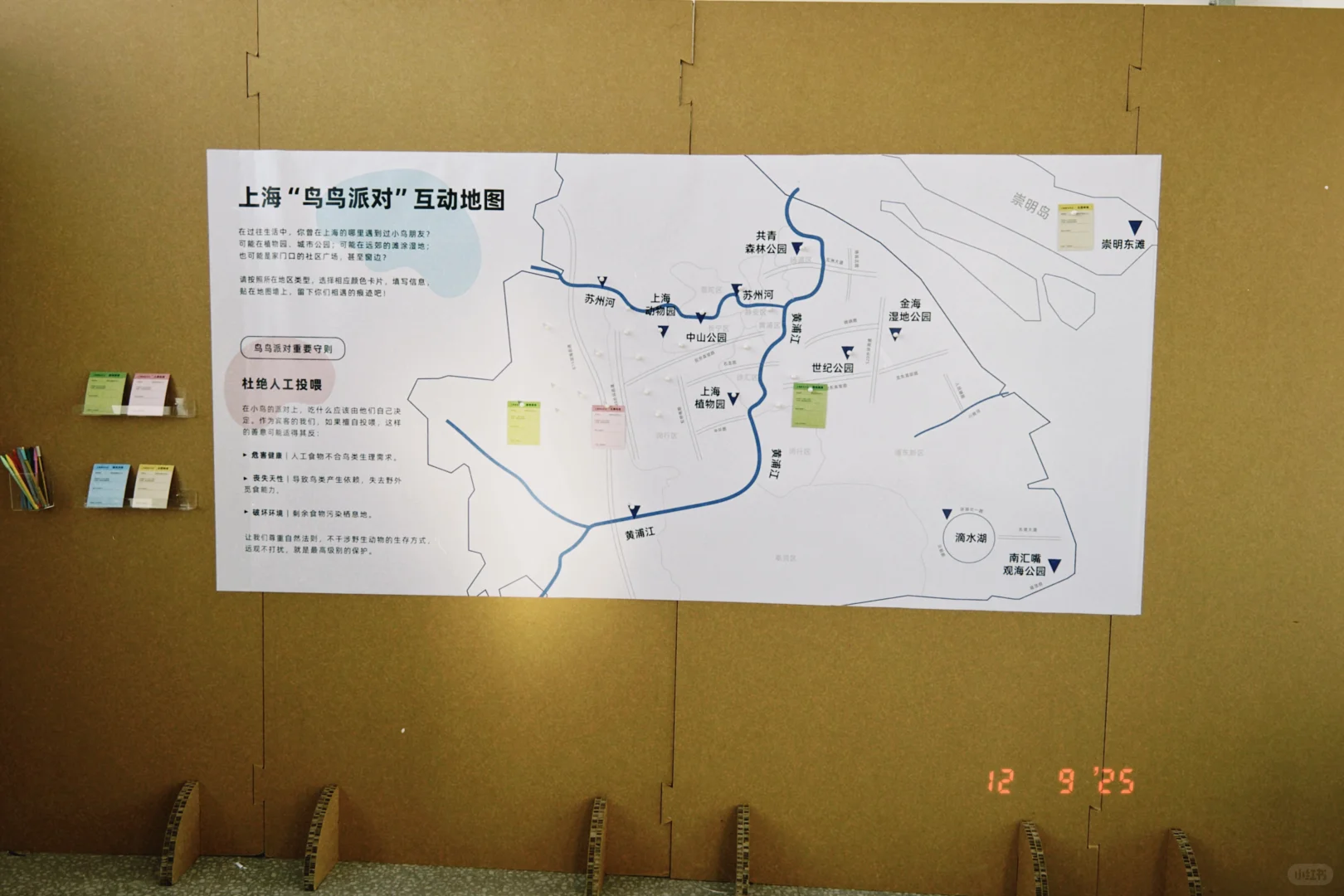 鸟鸟派对｜ 科普展