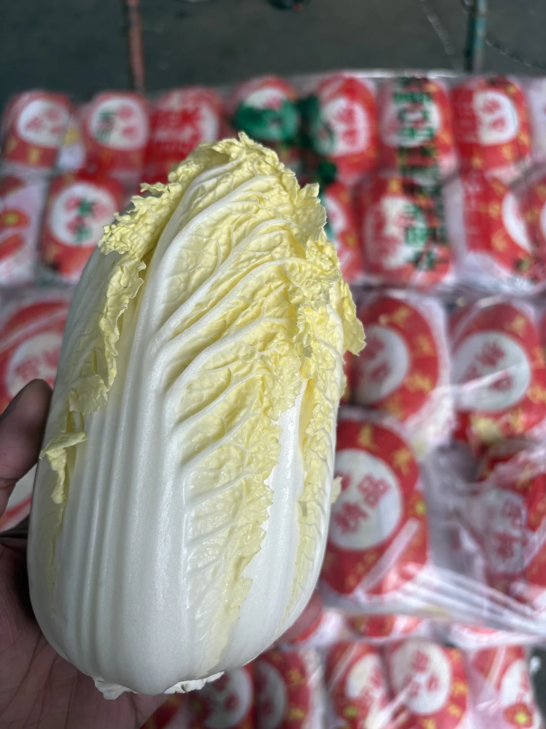 云南富有老字号