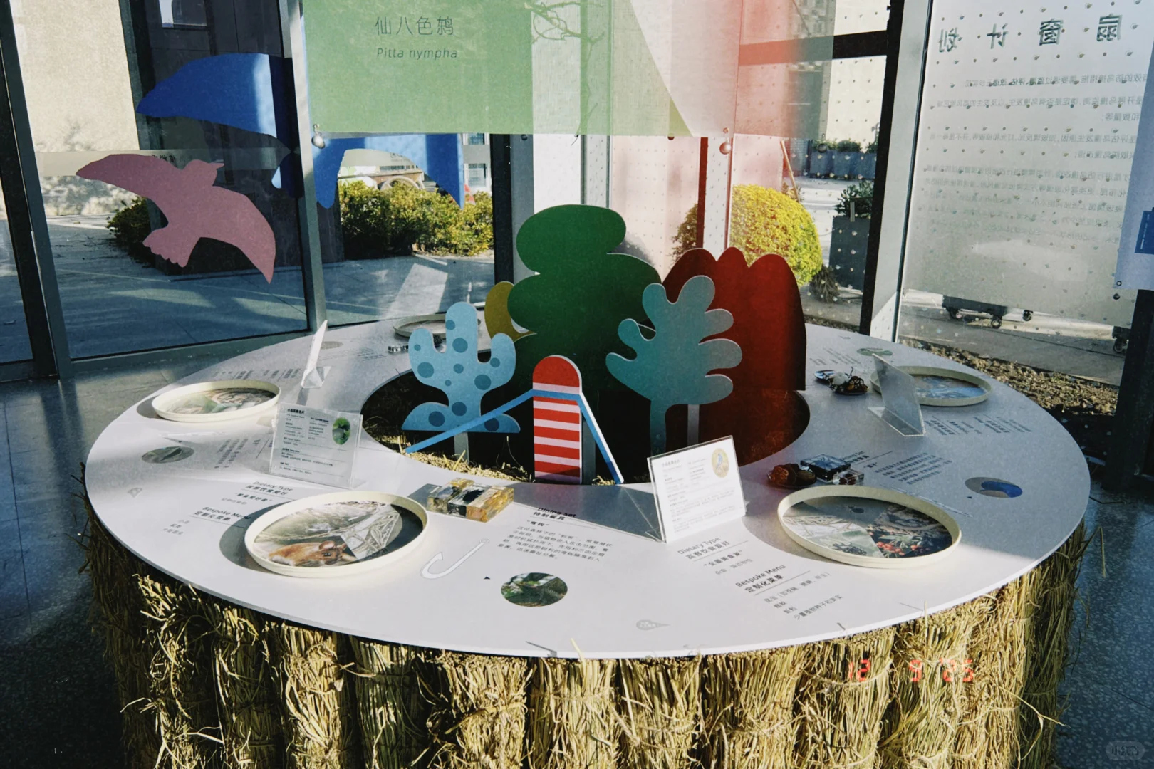 鸟鸟派对｜ 科普展